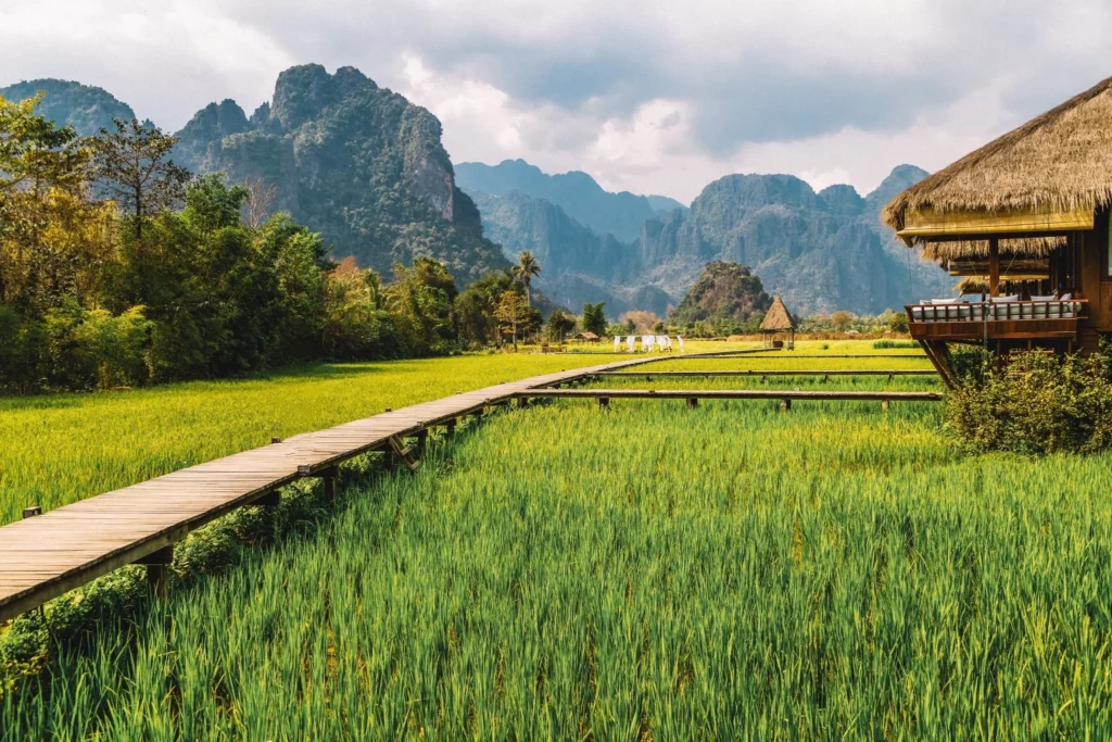Green rice fields beneath limestone mountains in Vang Vieng
